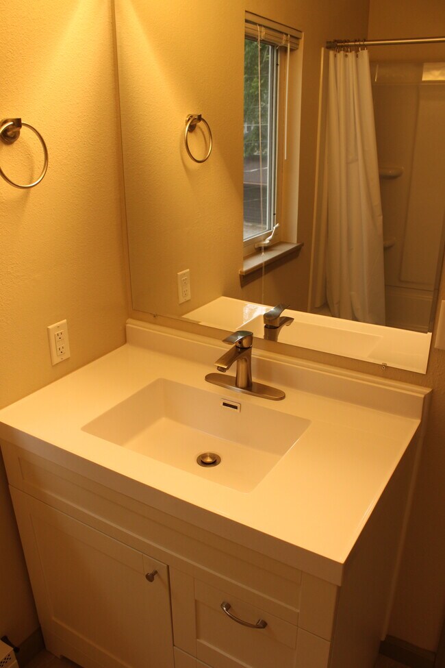 Bathrm Sink - 1109 5th Ave S