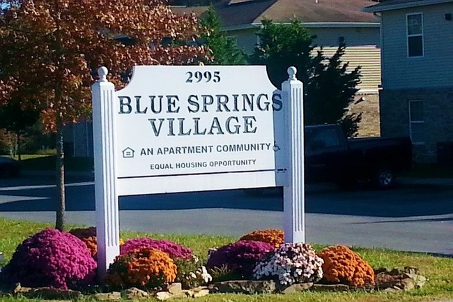 Primary Photo - Blue Springs Village Apartments