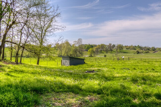 Building Photo - 369 Steele Rd
