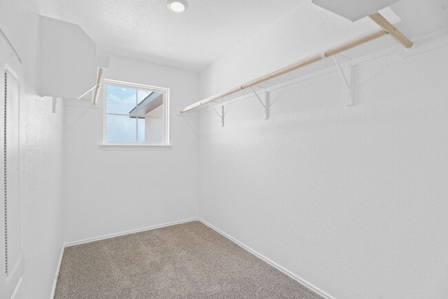 Building Photo - 14816 Afleet Alex St