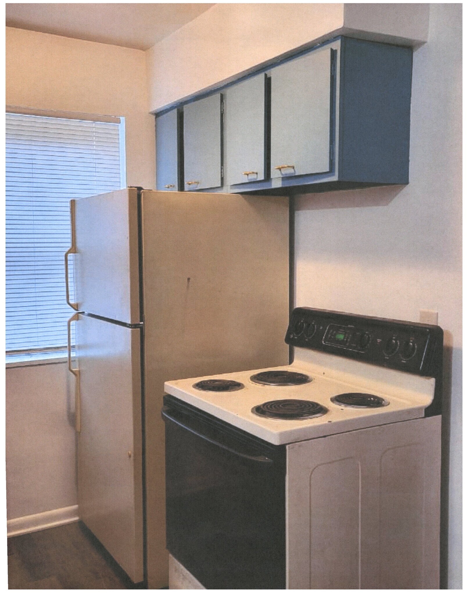 Building Photo - 1331 Chardon Ct