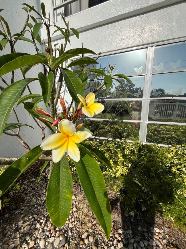 Building Photo - 1655 S Highland Ave