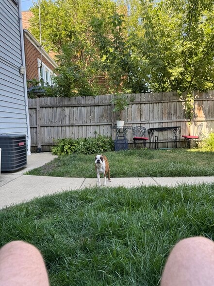 Back yard - 3131 N Central Park Ave