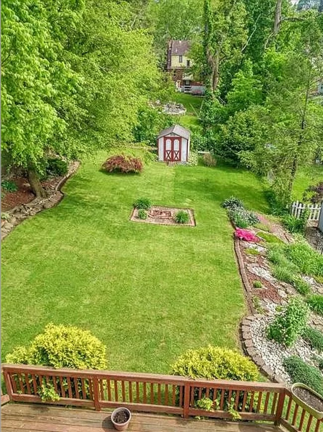 Backyard - 203 Hillson Ave