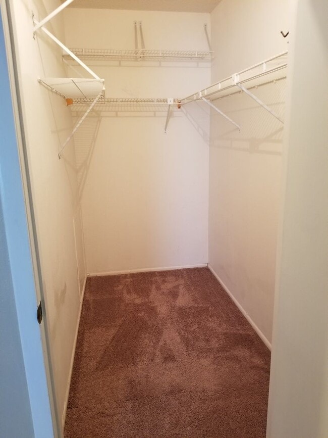 Building Photo - CONDO NEAR USF!