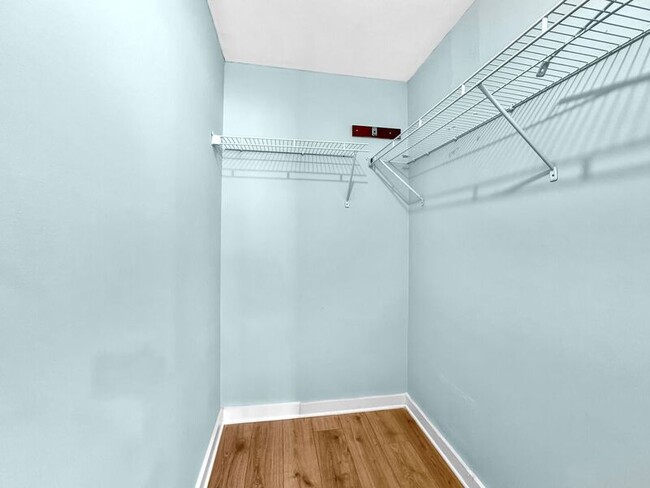 Building Photo - 10623 Pine Forest Ln