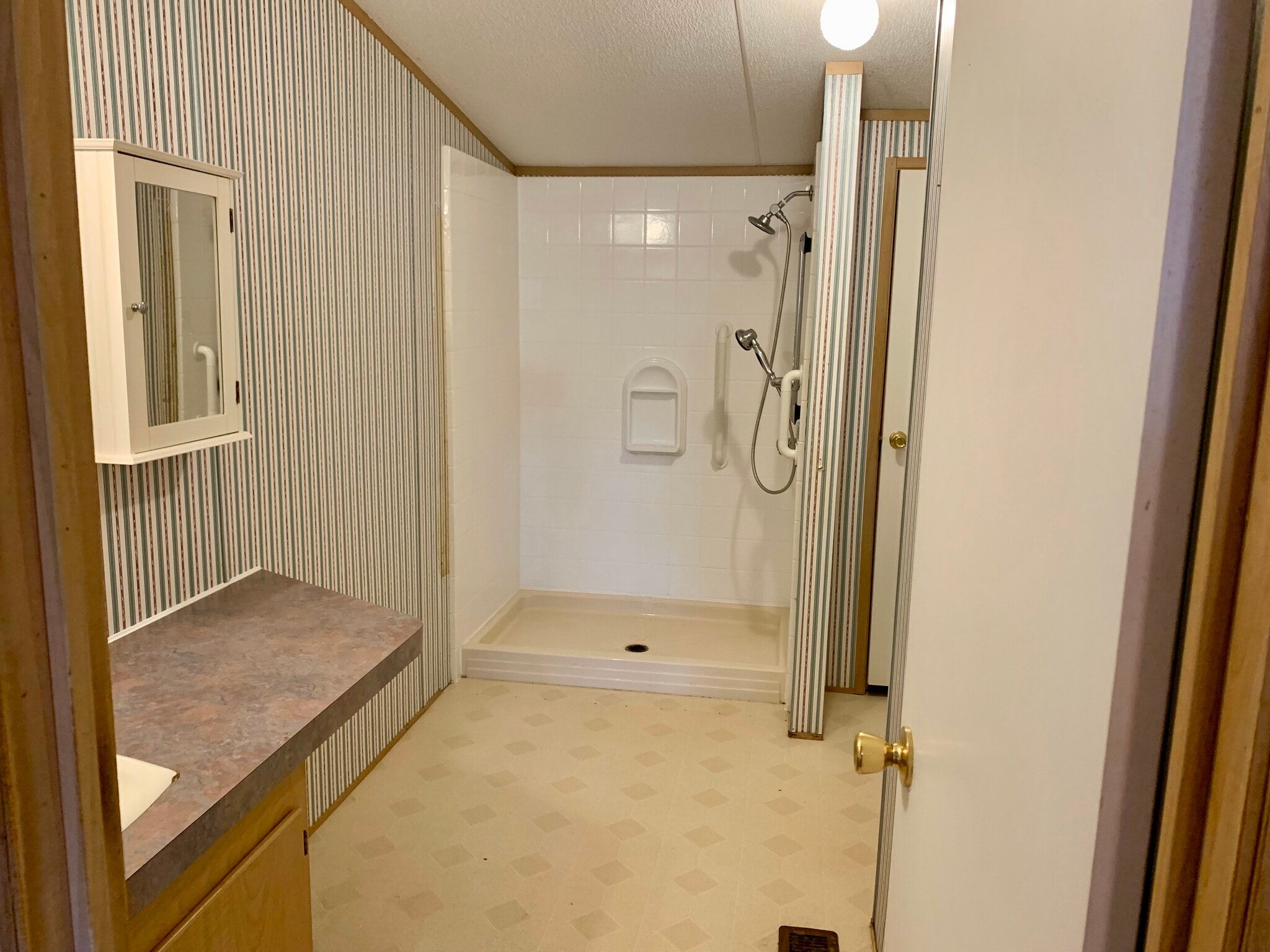 Primary bathroom - 709 Blue Stem Dr