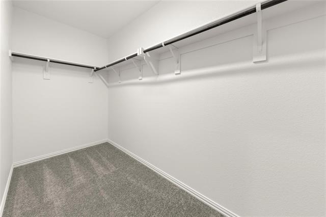 Building Photo - 2284 Black Frst Dr