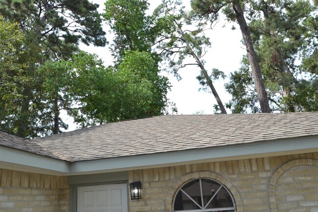 Building Photo - 4527 Adonis Dr