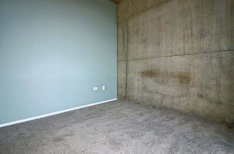 Building Photo - 1411 S Wabash Ave