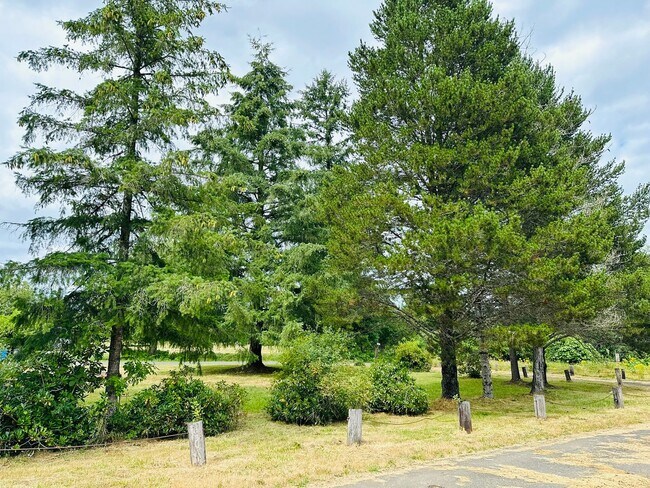 Building Photo - Newly Remodeled Acreage Property