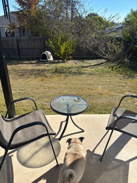 Building Photo - 1103 Travis Cir