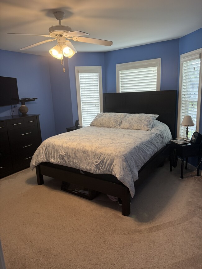 Building Photo - 2576 Blue Dog Ct