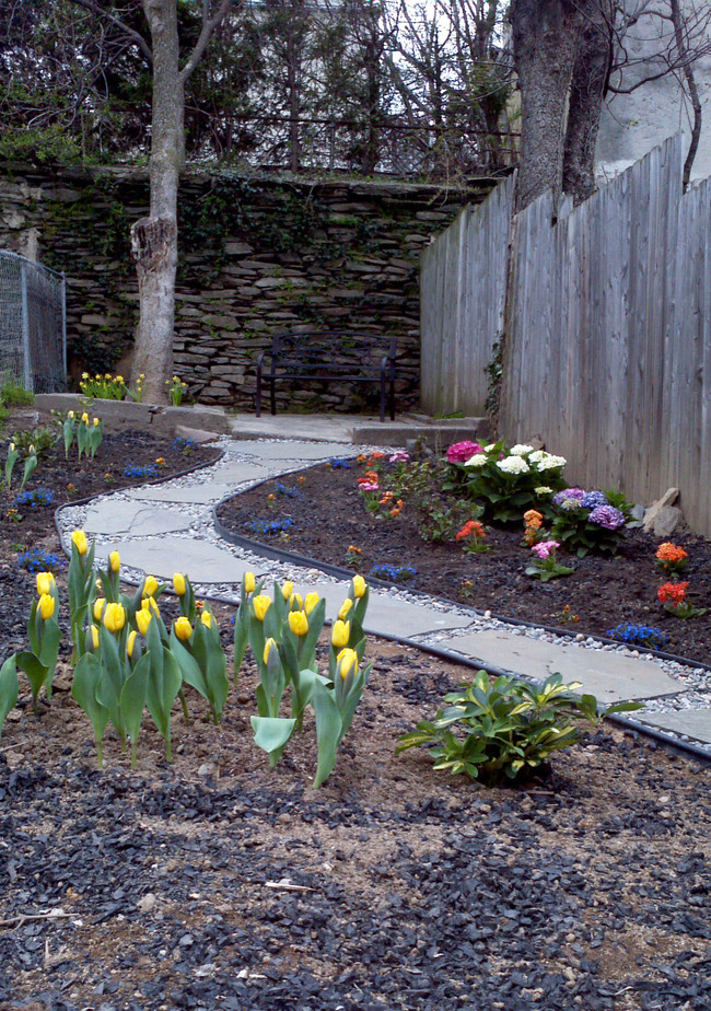 landscaped yard - 218 E Elm St