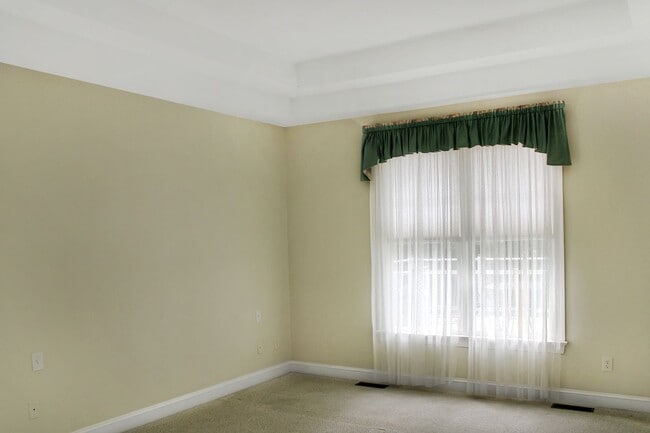 Building Photo - 5 Bedroom with Elevator