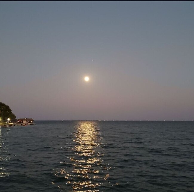 Building Photo - Charming 2BR House in Coldspring