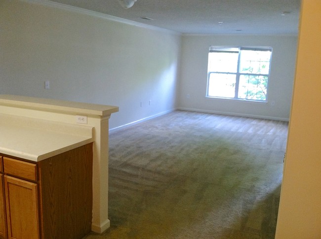 Interior Photo2 - Abby's Place