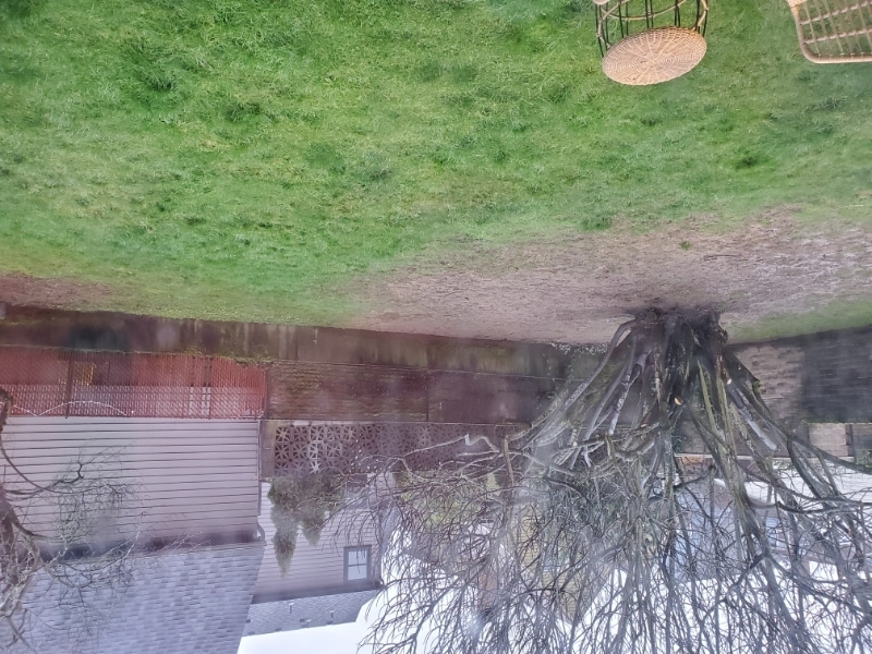 Building Photo - 1734 SE 20th Ave