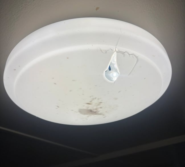 Building Photo - 20048 Ada Ln