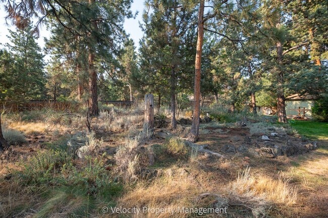Building Photo - Beautiful home on a large half acre lot!