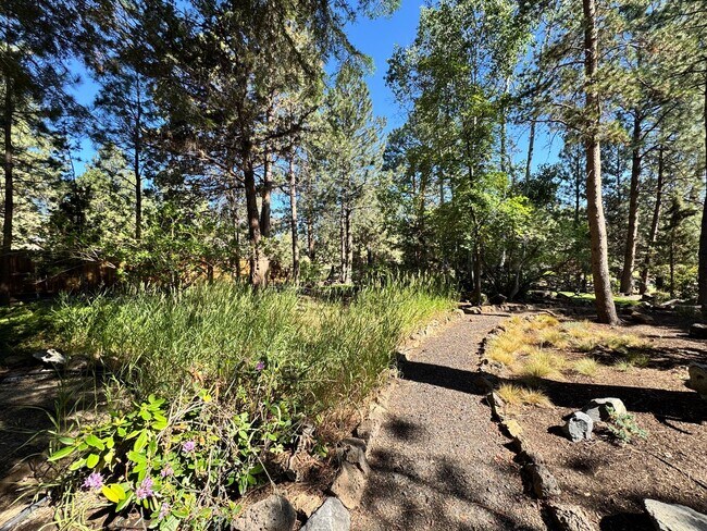 Building Photo - FOR RENT: FURNISHED LONG-TERM EXTREMELY CO...