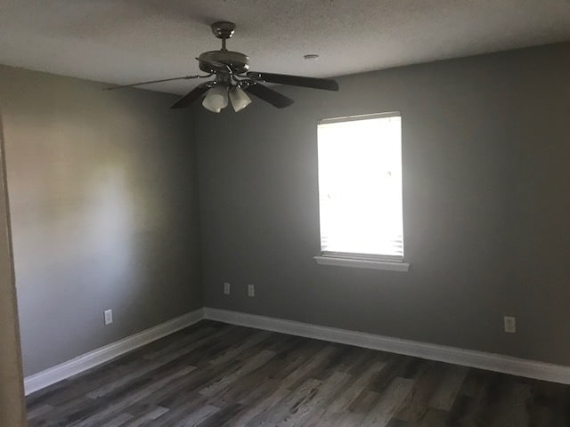 Primary Photo - 125 Tabatha St