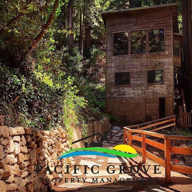 Primary Photo - Cabin on Palo Colorado