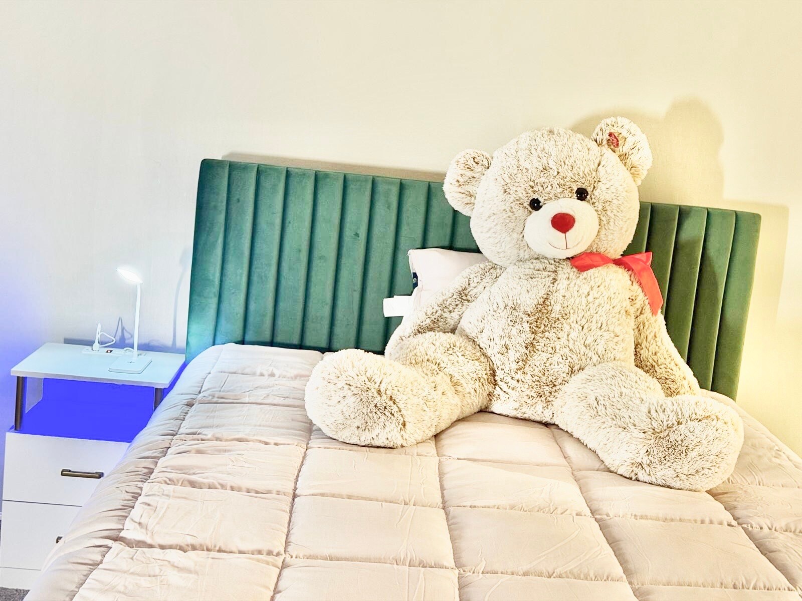 Cozy with Bear - 1072 Maywood Ln