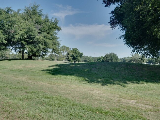Building Photo - 3 Bedroom Single Family Home in Lady Lake
