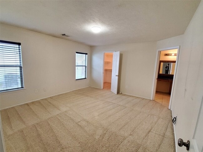 Building Photo - 18203 Afton Hollow Ln