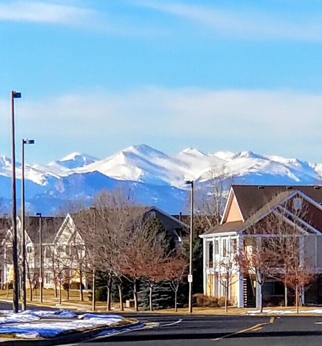 driving down hahns peak - 4815 Hahns Peak Dr