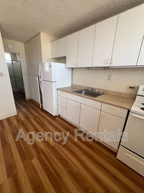 Building Photo - 425 N Kuakini St