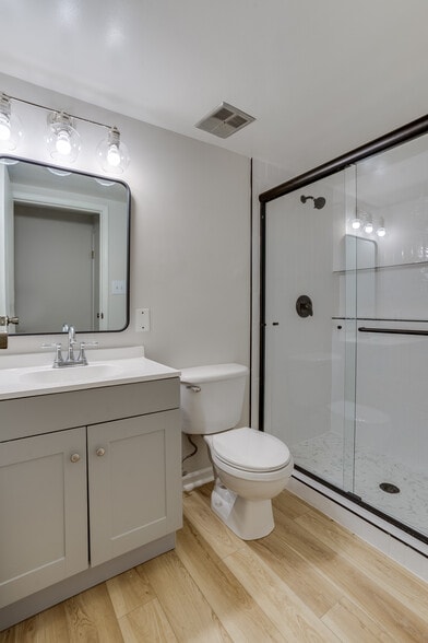 Addition Bathroom - 5471 Braddock Ridge Dr