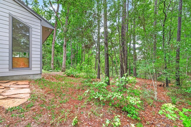 Building Photo - 41 Creek Forest Ln