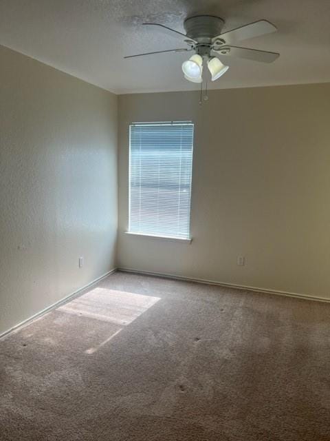 Building Photo - 1017 Christopher Ave