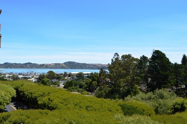 Building Photo - Newly Updated Condo with In-Unit Laundry and View