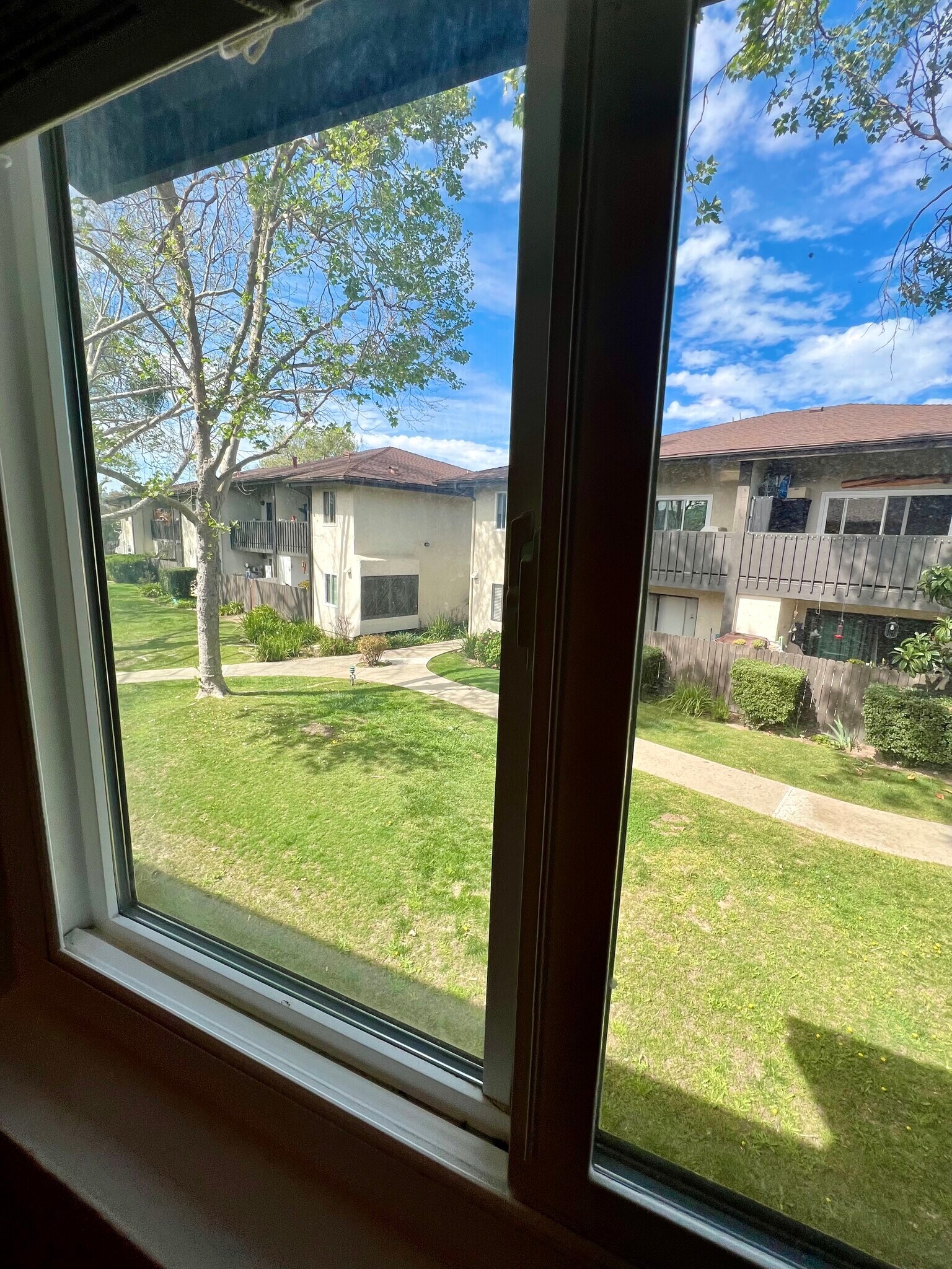 Building Photo - 1676 Maple Ave