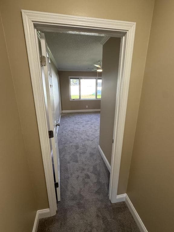 Building Photo - 524 Plantation Dr
