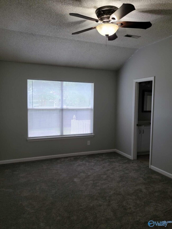 Building Photo - 201 Swallowtail Ln