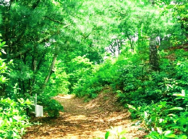 Building Photo - 546 Saddle Gap Dr