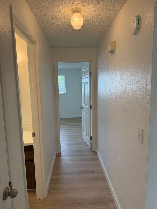 Building Photo - Updated single level 2 bed/1 bath duplex in Thurston!
