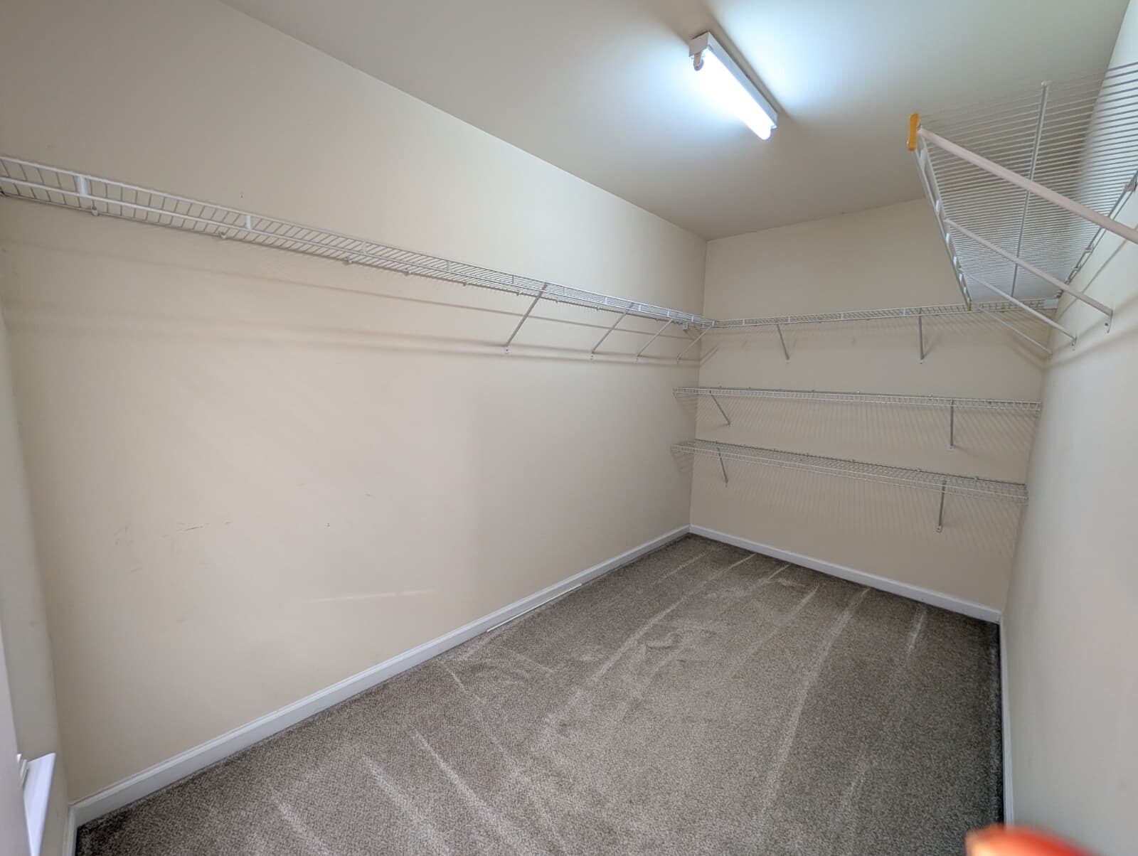 Building Photo - 172 Chandler Springs Dr