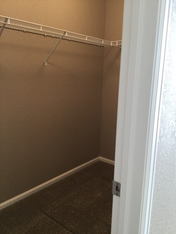 Building Photo - 2983 Cub Lake Dr