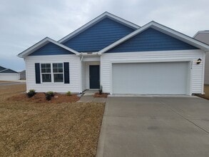 Building Photo - Welcome to our brand new 4-bedroom, 2-bathroom home located in the charming community of Castle H...