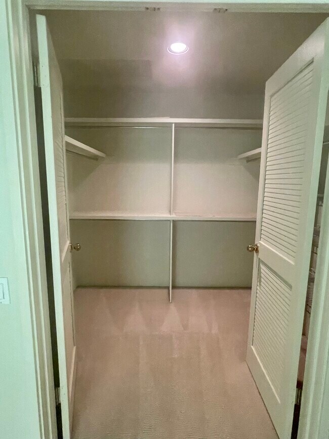 Master bedroom walk in closet - 1915 Discovery Village Ln
