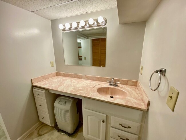 Building Photo - South AVL - Spacious 1/1 Apt with Sunroom!