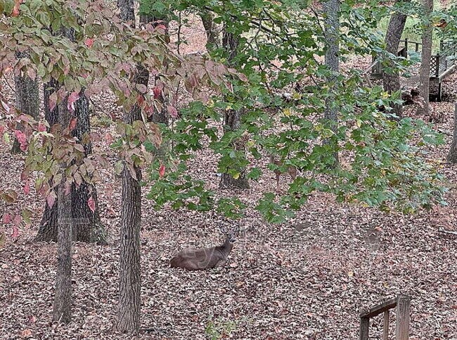 Building Photo - 150 Drennan Dr