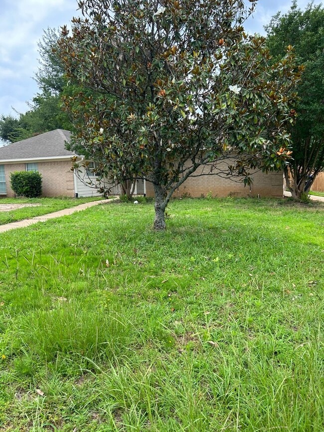 Building Photo - 3/2/2 Spring Hill ISD FENCED YARD