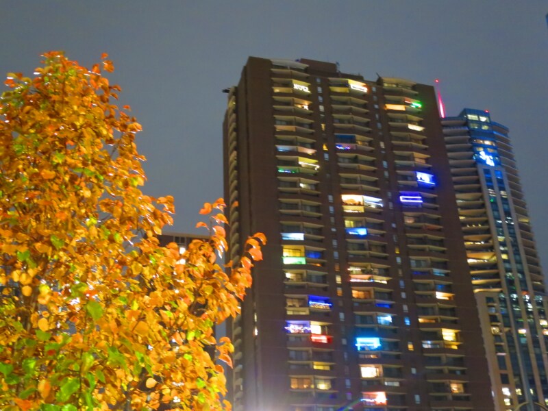 Building Photo - 1020 15th St