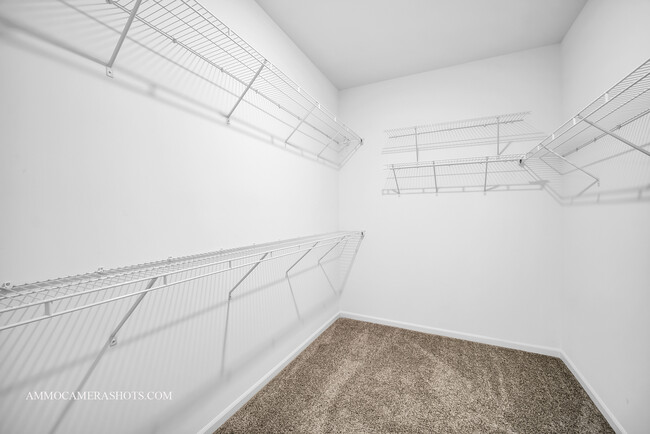 Building Photo - 325 Sussex Ln